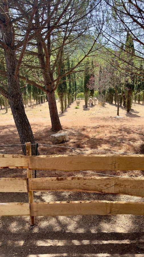 Superbe Roulotte De Charme Otel Bagnols-en-Forêt Dış mekan fotoğraf